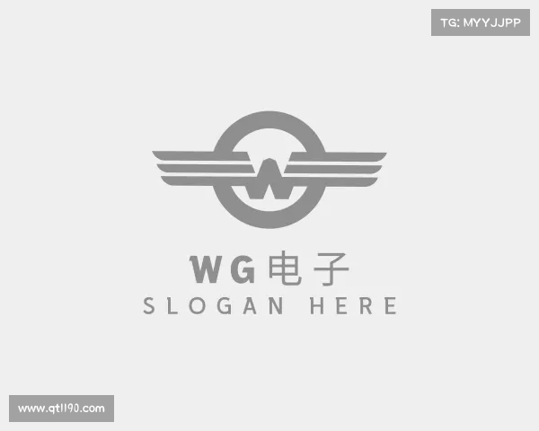 了解WG电子